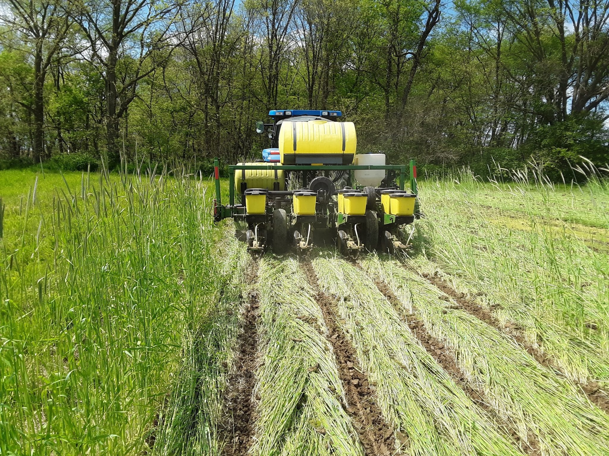 Planting Soybean into cereal rye