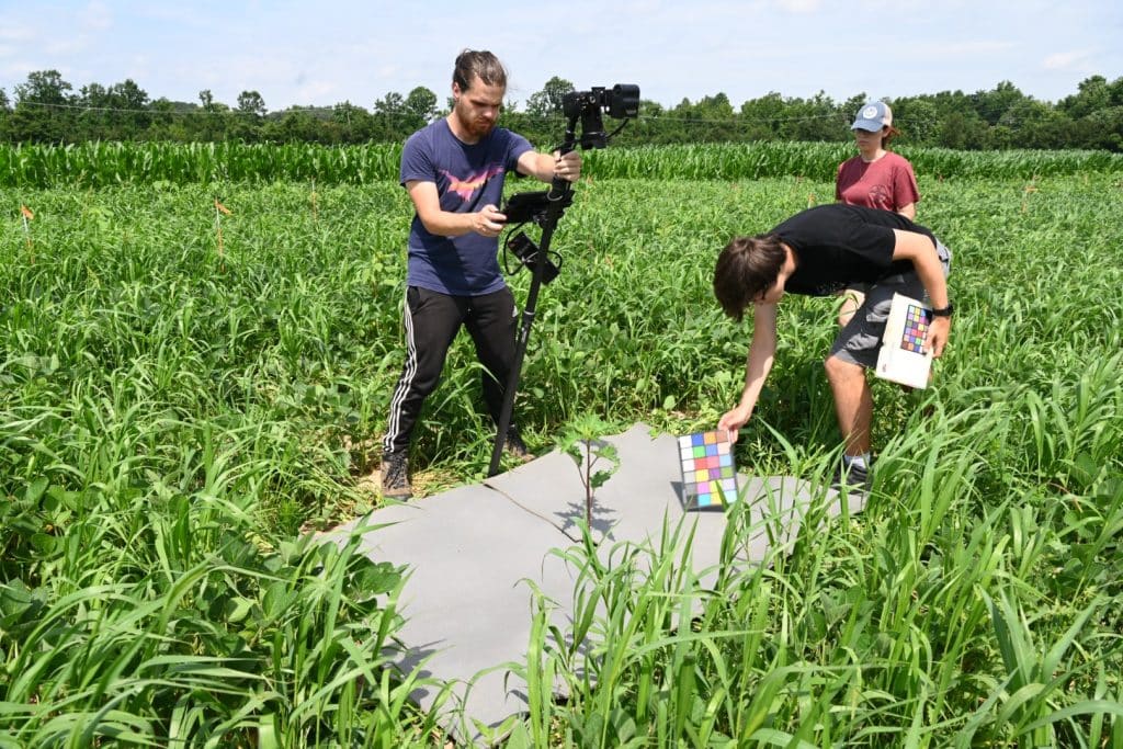 Researchers are using both robotics, such as the automated Benchbot on the left, and in-field protocols, such as the team on the right, to capture the enormous diversity of images needed to populate the National Ag Image Repository. (Photo credits: Claudio Rubione, GROW)
