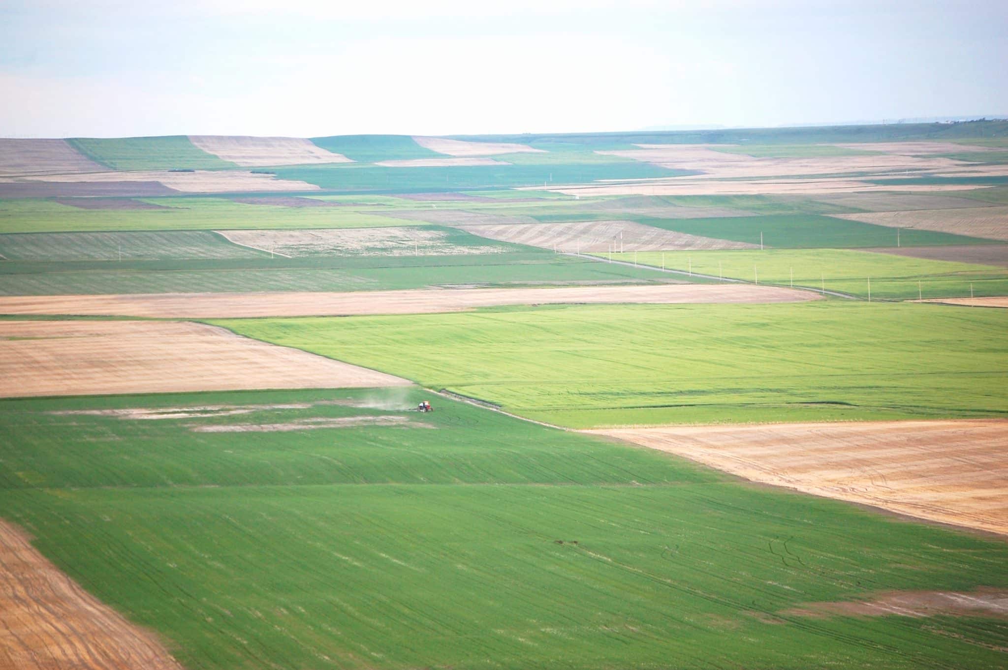 How To Make Cover Crops Work In Montana Getting Rid Of Weeds   Fallowwheatrotation2 2048x1362 